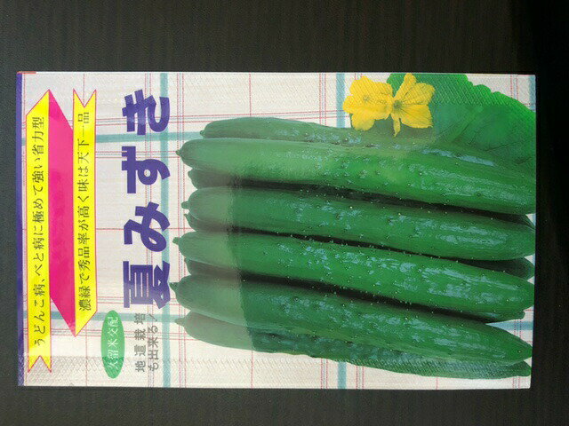 Rakuten - たね 長坂種苗園　キュウリ きゅうり 胡瓜　夏みずき　小袋