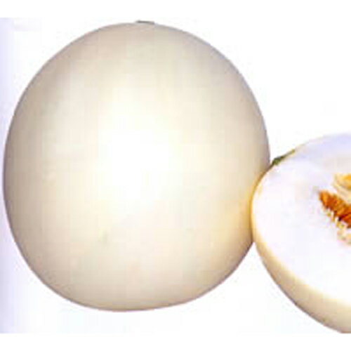 ナント種苗 メロン　白い輝き　小袋のサムネイル