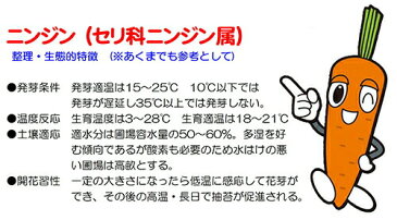 ナント種苗 ニンジン 本紅金時人参（ほんべにきんとき）小袋