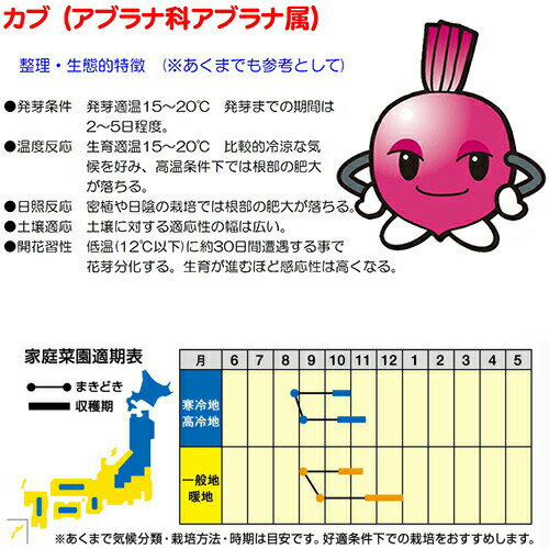 ナント種苗 カブ もものすけ サラダカブ 1dl 種苗 園芸ショップ 種もり ナント種苗 カブ もものすけ サラダカブ 1dl 種苗 園芸ショップ 種もり