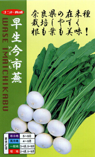 ナント種苗 カブ 早生今市蕪(わせいまいちかぶ) 20ml