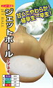 ナント種苗 タマネギ ジェットボール 20ml