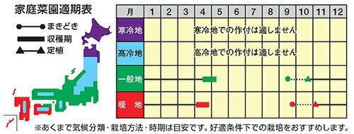 楽天市場 ナント種苗 タマネギ ジェットボール 小袋 種苗 園芸ショップ 種もり 楽天市場 ナント種苗 タマネギ ジェットボール 小袋 種苗 園芸ショップ 種もり