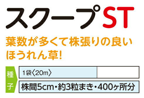 ナント種苗 ホウレンソウ スクープ　コート 3万粒