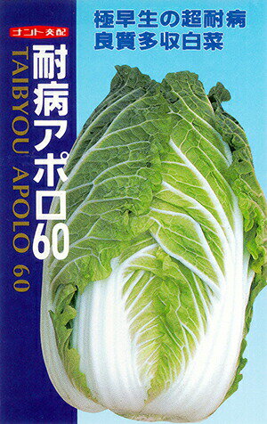 ナント種苗 ハクサイ 耐病アポロ60 小袋