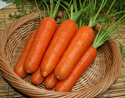 ナント種苗 ニンジン 恋美人（こいびじん）小袋