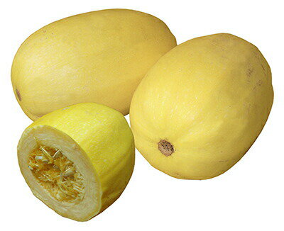 ナント種苗 カボチャ そうめんカボチャ　美和ちゃん　小袋