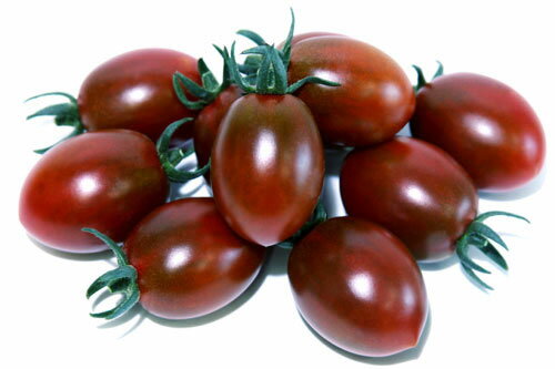 山陽種苗　トマト とまと　チョコラ・ベル[プラムミニトマト]　小袋