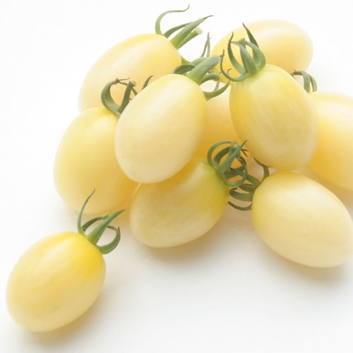 山陽種苗　トマト とまと　ミルキーベル[プラムミニトマト]　小袋