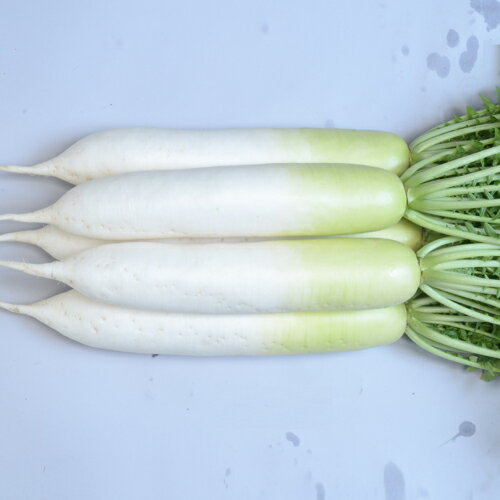 ۼġ 纬 󡡺ޥֲơס