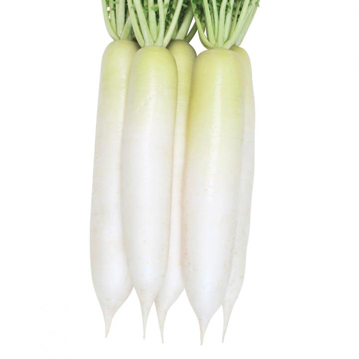 山陽種苗　ダイコン 大根 だいこん　秋健大根　2dl