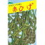 たね 佐藤政行種苗 エダマメ 枝豆 えだまめ 赤ひげ 1dl 682円