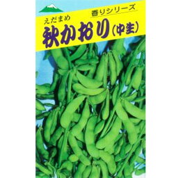 たね 佐藤政行種苗 エダマメ 枝豆 えだまめ　秋香　小袋