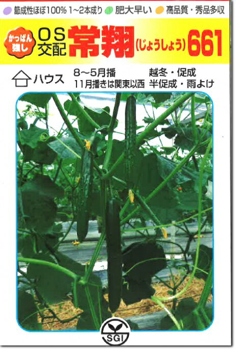 シード　キュウリ きゅうり 胡瓜　常翔661　350粒