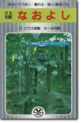 シード　キュウリ きゅうり 胡瓜　なおよし　350粒