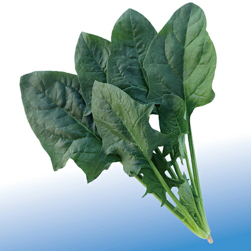 ȥ ۥ󥽥 ˡϡ ۤ󤽤ޡꥪ󡡾