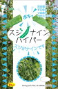 トキタ種苗 えんどう スジナインハイパー　小袋