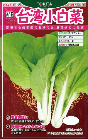 トキタ種苗 ハクサイ 台湾小白菜 小袋