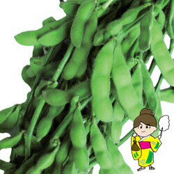 トキタ種苗 枝豆 夏枝　小袋