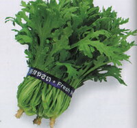 八江農芸　シュンギク 春菊 しゅんぎく　芳天　1dl