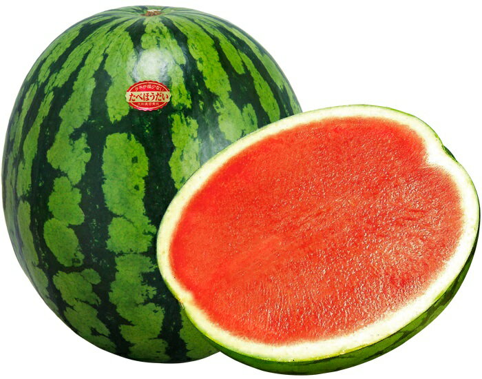 たね 大和農園 スイカ 種子 たべほうだい赤王　小袋