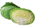 たね 大和農園 キャベツ きゃべつ 翠緑 20ml