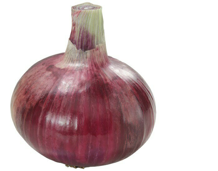 たね 大和農園 タマネギ たまねぎ 玉葱　サニーレッド　小袋