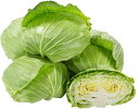 たね 大和農園 キャベツ 金力(きんりょく) 小袋
