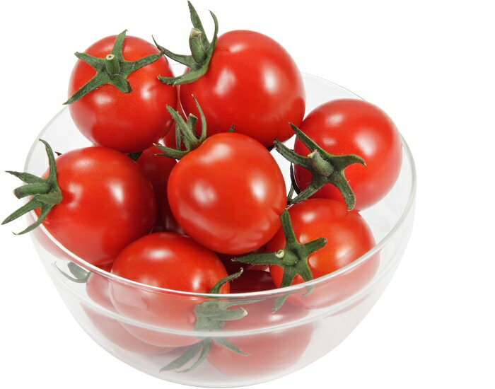 たね 大和農園 トマト とまと　スイートマスコット　1000粒