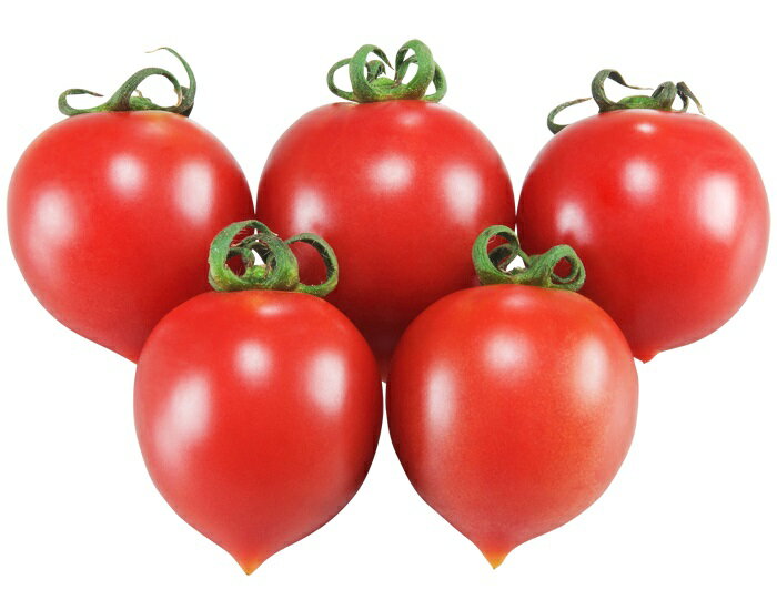 ġݥå 㤨֤  ȥޥ Ȥޤȡ֥졡ޡפβǤʤ550ߤˤʤޤ