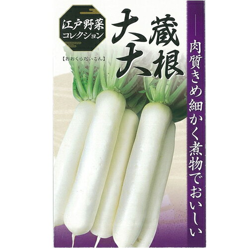日本農林 ダイコン 大根 だいこん　大蔵大根　1dl