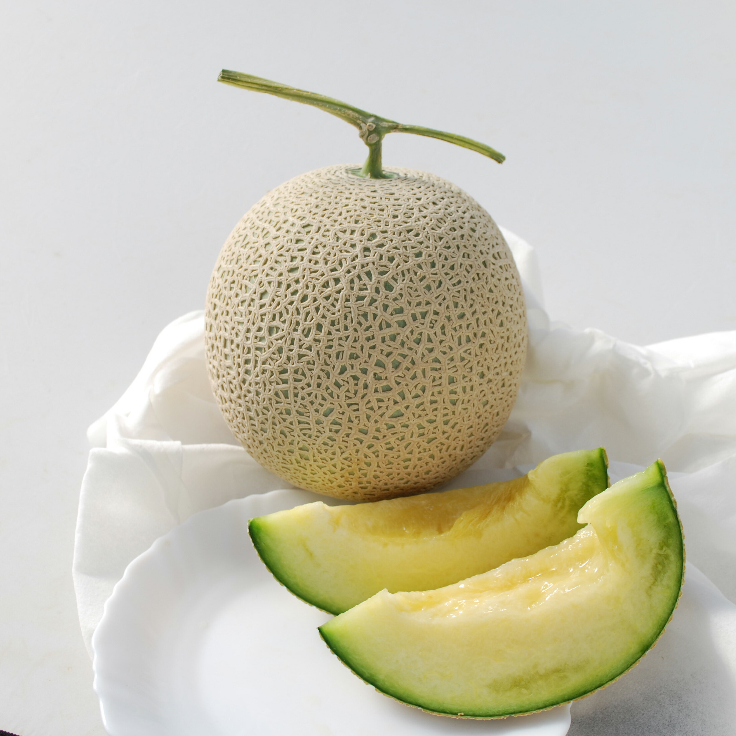 たね 横浜植木 メロン　ソナタ 初秋系 100粒