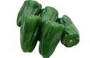 たね 横浜植木 ピーマン グッピー(UN-607) 1000粒