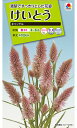 タキイ種苗 草花 種子 鶏頭・キャンドル