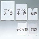 タキイ種苗 生産資材 通販　家庭用 果実袋（止め金入り） ブドウ大袋（ビワにも使用可）　1袋（300枚入）