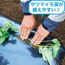 タキイ種苗 マルチ・被覆資材 通販 菜園用 サツマイモ黒マルチ 95cm×50m