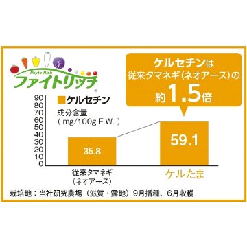 タキイ種苗 野菜 種子 ファイトリッチ タマネギ ケルセチンリッチ ケルたま