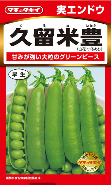 楽天市場 種苗の専門店です タネのタキイ 楽天市場店 トップページ