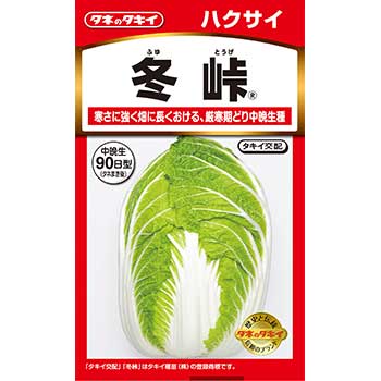 タキイ種苗 野菜 種子 ハクサイ 冬峠のサムネイル