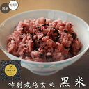 商品詳細 商品名 黒米（特別栽培米） 内容量 250g 賞味期限 365日 原材料 黒米※原料米はすべて国産米を使用 アレルギー物質 【原材料に含まれるもの】 【同製造ラインに含まれるもの】そば、小麦 ハラール分別 ハラール商品です 商品説明 【目安量】 お米1合に対し本品大さじ1杯を入れ炊飯してください。 【おいしい炊き方】 水加減は白米と同じ お米1合につき、本品大さじ1杯（15g）を加え、軽く混ぜて30分ほど置き炊飯してください。 ※本品は洗う必要はありません ※水加減は目安です。お好みで調節してください 【保存方法】 直射日光、高温多湿を避け、常温で保存してください 【注意事項】 ※農産物を原料としていますので穀物の色、形が多少異なる場合がありますが、品質には問題ありません 【日本製】商品名 黒米（特別栽培米） 内容量 250g 　　 賞味期限 365日 　　 原材料 黒米※原料米はすべて国産米を使用 　 アレルギー物質 【原材料に含まれるもの】 【同製造ラインに含まれるもの】そば、小麦 ハラール分別 ハラール商品です。 ■農林水産省新ガイドラインによる表示 特別栽培農産物（玄米） 節減対象農薬：当地比　5割減 化学肥料（窒素成分）：当地比5割減 栽培責任者 大分県農業協同組合　東部事業部　農畜産課 住所 大分県国東市国東町鶴川56-1 連絡先 0978−72−0617 確認責任者 大分県農業協同組合　東部事業部　農畜産課 住所 大分県国東市国東町鶴川56-1 連絡先 0978−72−0617 精米確認者 株式会社　種商　製造部 所在地 佐賀県鳥栖市藤木町若桜3-5 連絡先 0942−83−1311 ■節減対象農薬の使用状況 使用資材名 用途 使用回数 クロチアニジン 殺虫 1回 クロラントラニリプロール 殺虫 1回 イソチアニル 殺菌 1回 ピリミスルファン 除草 1回 フェントラザミド 除草 1回 テブフェノジド 殺虫 1回 ブプロフェジン 殺虫 1回 フルトラニル 殺菌 1回 ジノテフラン 殺虫 2回 ■節減対象化学合成肥料の使用状況 ※当地比はヒノヒカリ等を使用しています 使用資材名 用途 使用回数 化成肥料 元肥 窒素2.0kg/10a 化成肥料 追肥 窒素1.5kg/10a