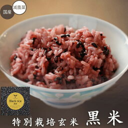 【特別栽培玄米黒米 250g】くろまい 黒紫米 紫黒米 国産 減農薬 お祝い 人気 安心 安全 もちもち プチプチ 美味しい 国内産 健康 食べやすい ビタミン ミネラル 美容