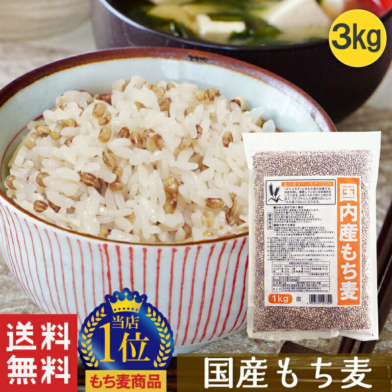 【国産 もち麦 1kg(ダイシモチ) 3袋セット】 雑穀 雑穀米 1kg 送料無料 国産 もち麦 もちむぎ 食物繊維 種商 TV テレビ 話題 健康 ヘルシー もちもち 美容 人気 安い ランキング 美味しい ぷちぷち 食感 すぐ届く メール便