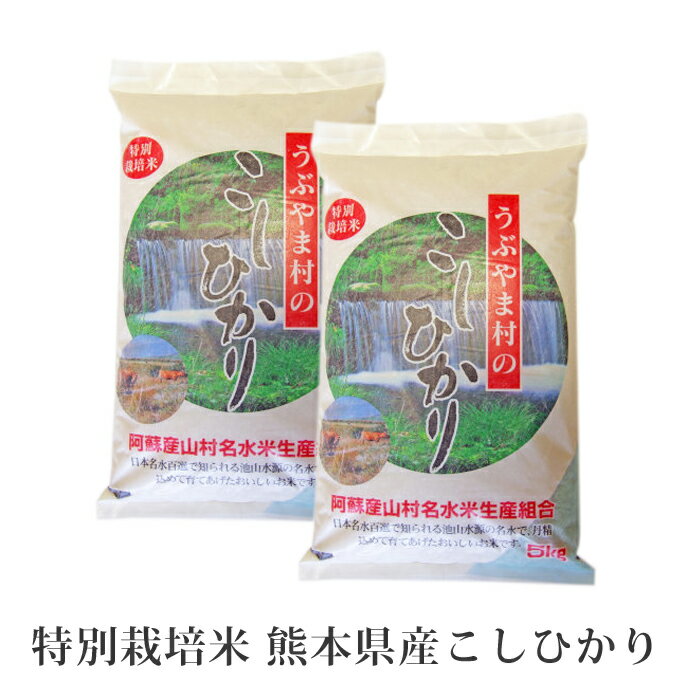 【P2倍！最大10％OFFクーポンも！】 【熊本県産 産山こしひかり（特別栽培米）5kg×2袋 】美味しい おいしい 人気 阿蘇　阿蘇山 こしひかり うぶやま村 甘い 米　送料無料 令和3年産 九州 2021年産 米