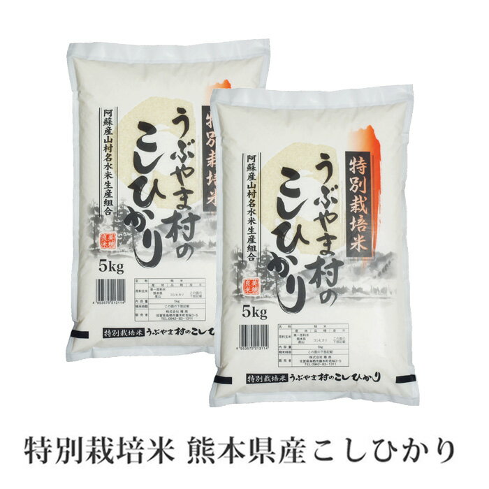 【熊本県産 産山こしひかり(特別栽培米) 5kg×6袋 】米 お米 白米 送料無料 10kg(5kg×2袋) 令和3年産 3年産 2021年産 美味しい おいしい 人気 熊本県産 阿蘇 阿蘇山 こしひかり うぶやま村 甘い 九州 種商 お中元 御中元