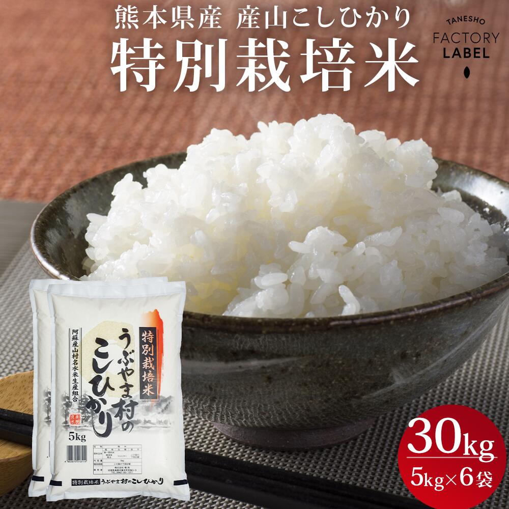 【熊本県産 産山こしひかり 特別栽培米 5kg 6袋 】お米 白米 送料無料 30kg 5kg 6袋 令和5年産 5年産 2023年産 美味しい おいしい 人気 熊本県産 阿蘇 阿蘇山 こしひかり うぶやま村 甘い 九州…