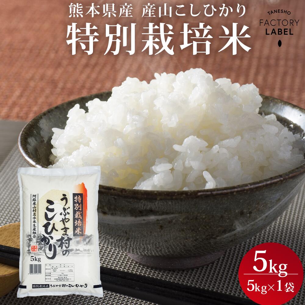 人気ランキング第42位「TANESHO FACTORY LABEL」口コミ数「0件」評価「0」【熊本県産 産山こしひかり(特別栽培米) 5kg】お米 白米 送料無料 5kg×1袋 令和5年産 5年産 2023年産 美味しい おいしい 人気 熊本県産 阿蘇 阿蘇山 こしひかり うぶやま村 甘い 九州 種商 お中元 御中元