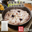 雑穀米 種商 国産発芽玄米GABA雑穀 18穀米 十八穀米 2.7kg 雑穀 大容量 送料無料 国産 18穀 もち麦 発芽玄米 混ぜるだけ アマランサス 美容 ...