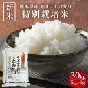 【新米 令和7年度産】 熊本県産 産山こしひかり 特別栽培米 30kg (5kg×6) コシヒカリ 送料無料 九州 お米 産山村お米 白米 精米 熊本県産 阿蘇 阿蘇山 こしひかり お中元 御中元 令和7年産 7年産 2025年産