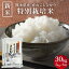 【熊本県産 産山こしひかり(特別栽培米) 5kg×6袋 】新米 お米 白米 送料無料 30kg(5kg×6袋) 令和5年産 5年産 2023年産 美味しい おいしい 人気 熊本県産 阿蘇 阿蘇山 こしひかり うぶやま村 甘い 九州 種商 お中元 御中元 大容量 27,000円