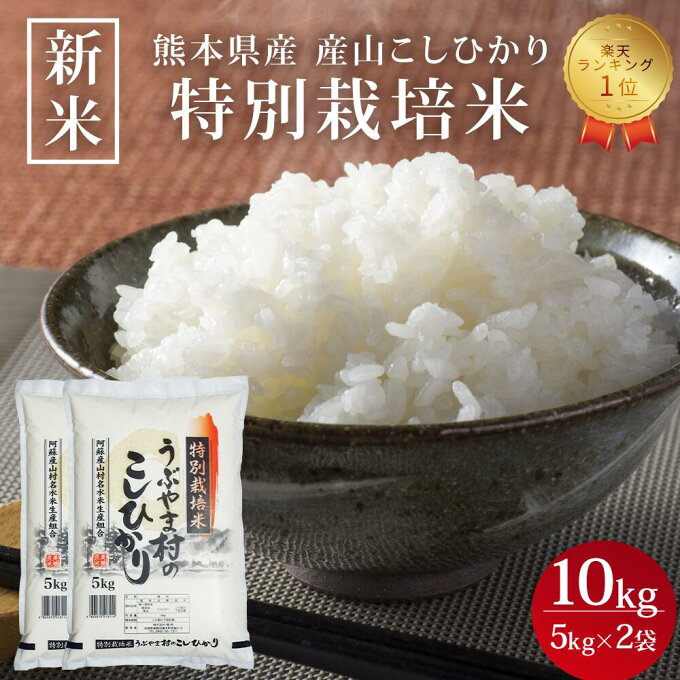 【熊本県産 産山こしひかり(特別栽培米) 5kg×2袋】 新米 コシヒカリ 10kg (5kg x 2袋) 特別栽培米 送料無料 九州 お米 産山村お米 白米 精米 令和5年産 5年産 2023年産 熊本県産 阿蘇 阿蘇山 こしひかり お中元 御中元